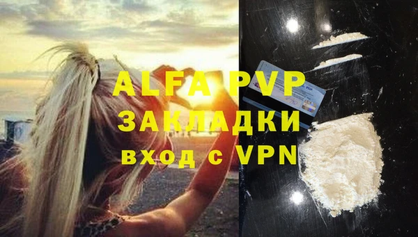 кокс Белокуриха