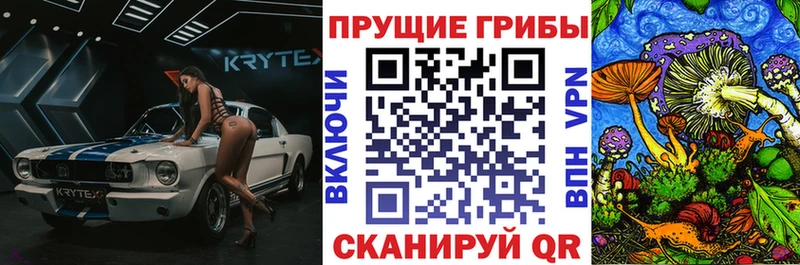 Псилоцибиновые грибы Psilocybine cubensis  Купить  Духовщина 